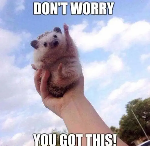 30 Great Motivational Quotes To Get You Through The Week