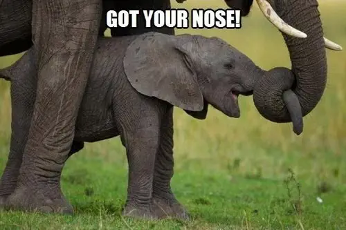 20 Extremely Funny Parenting Memes