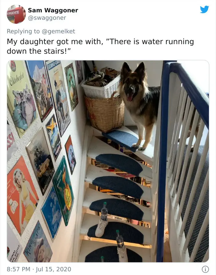 30 Fun Dad Jokes That Are So Bad It's Funny