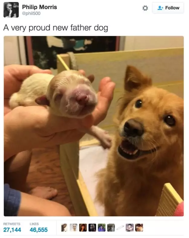 30 Cute And Wholesome Memes To Make You Feel Good