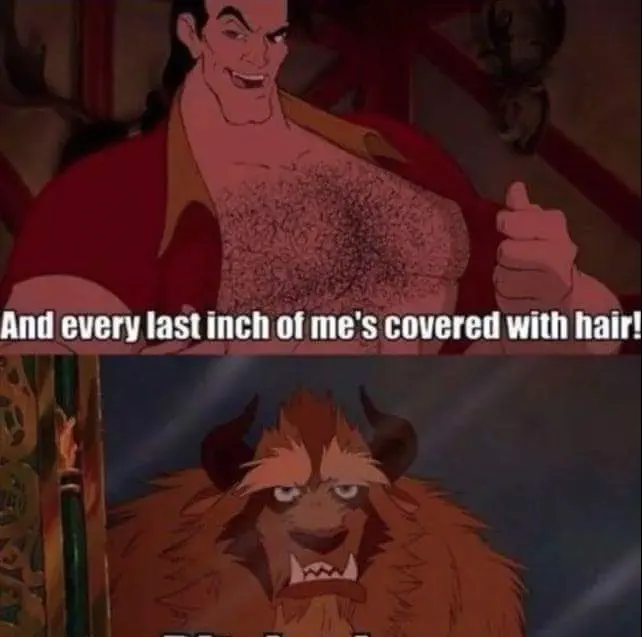 30 Unforgettable Disney Memes