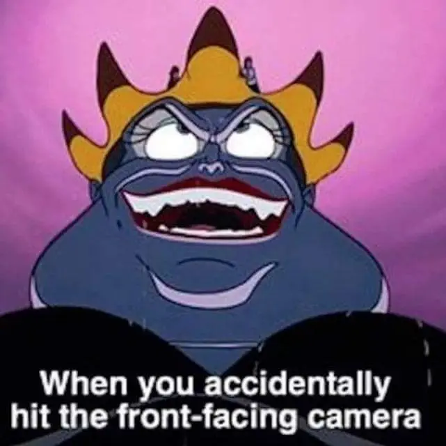 30 Unforgettable Disney Memes
