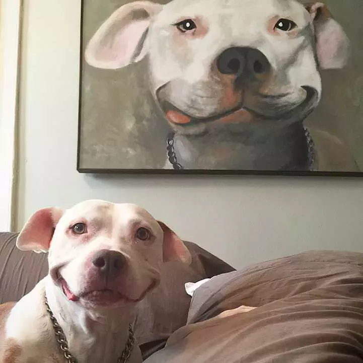 34 Priceless Pictures Of Cute Smiling Dogs