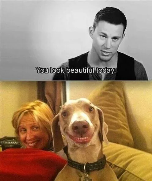 34 Priceless Pictures Of Cute Smiling Dogs
