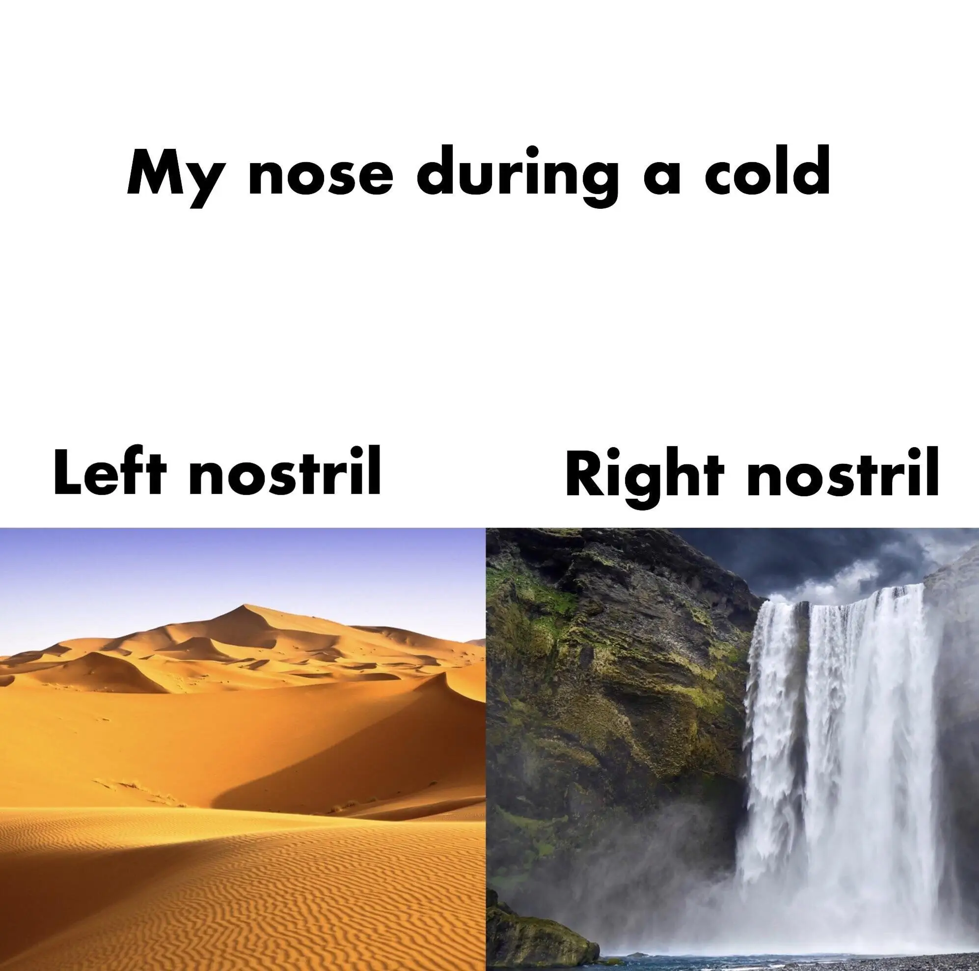 30 Exciting Funny Pictures For You To Laugh At