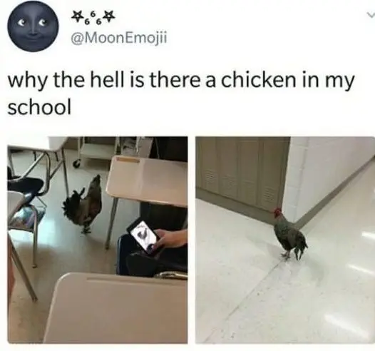 30 Exciting Funny Pictures For You To Laugh At