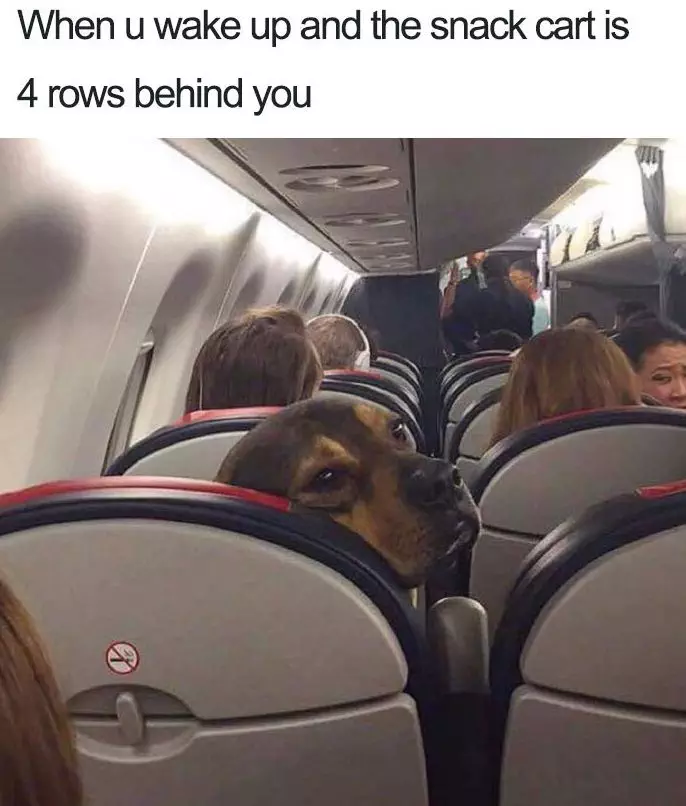 30 Terrific Holiday Memes That Are Just So Relatable