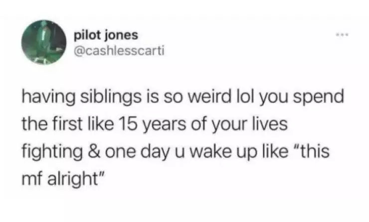 30 Accurate Memes To Share With Your Sibling