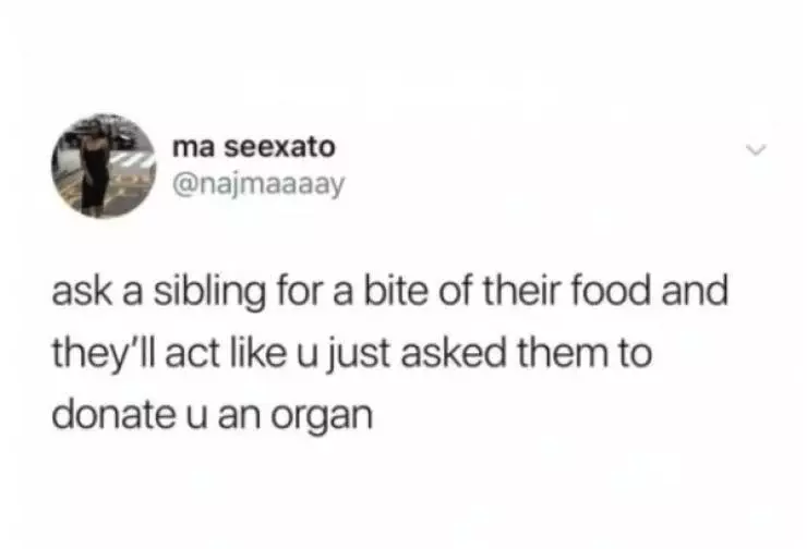 30 Accurate Memes To Share With Your Sibling