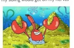 30 Accurate Memes To Share With Your Sibling