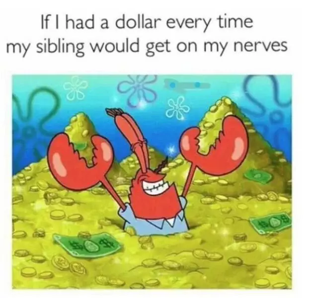 30 Accurate Memes To Share With Your Sibling