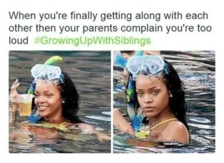 30 Accurate Memes To Share With Your Sibling