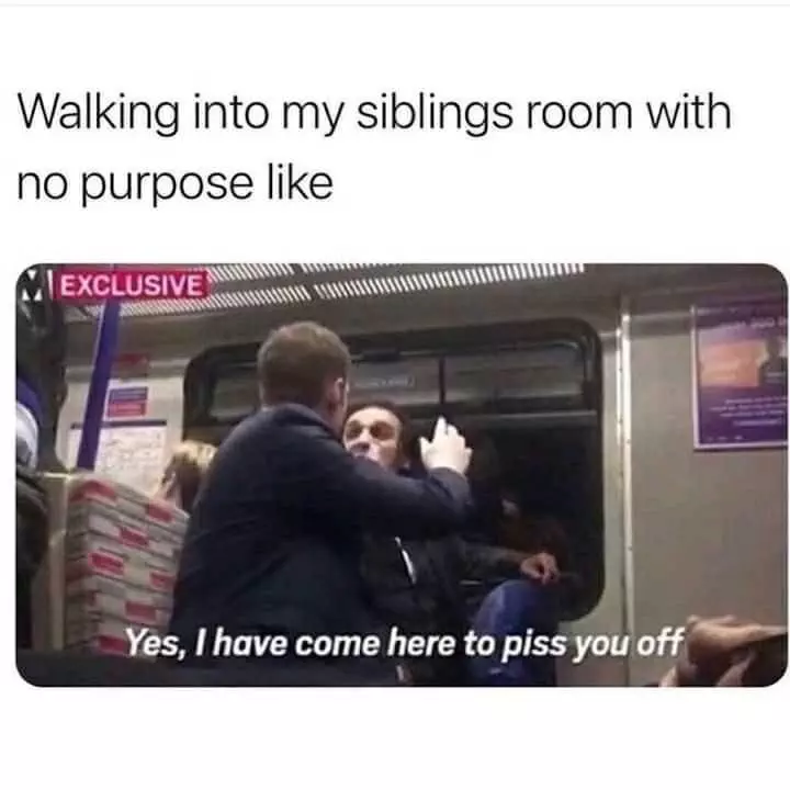 30 Accurate Memes To Share With Your Sibling