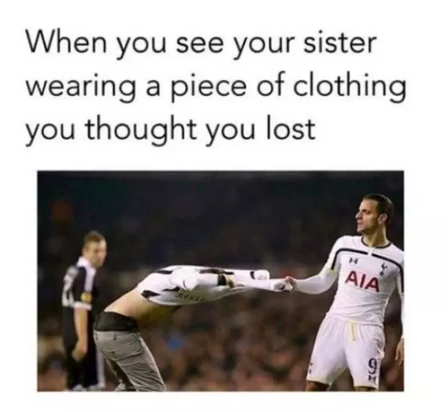 30 Accurate Memes To Share With Your Sibling