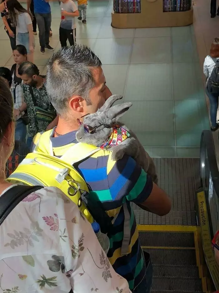 30 Strange And Weird Pictures Taken On The Subway