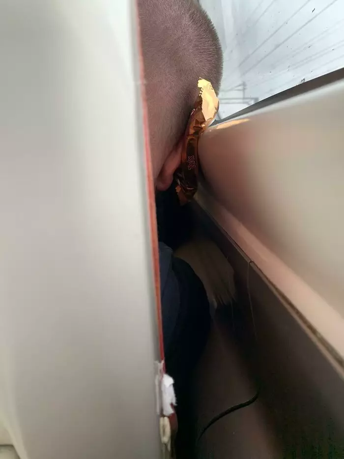 30 Strange And Weird Pictures Taken On The Subway