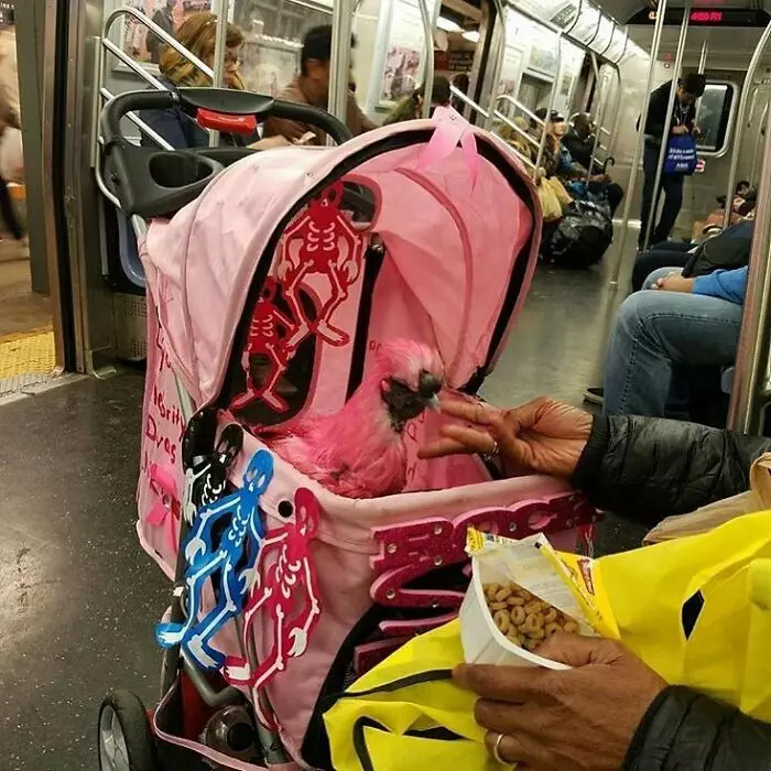 30 Strange And Weird Pictures Taken On The Subway