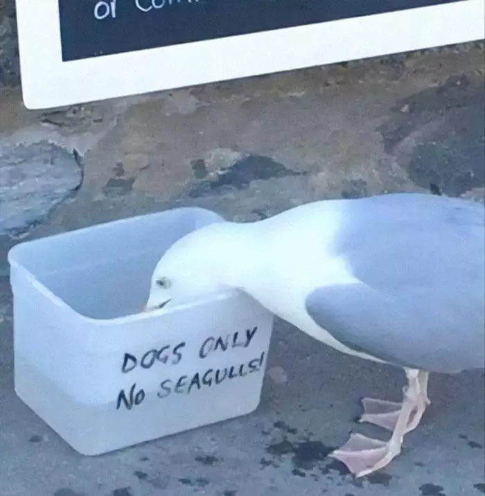 30 Elite Signs That Are Too Funny To Be True