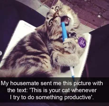 32 Inspirational And Wholesome Memes To Uplift You