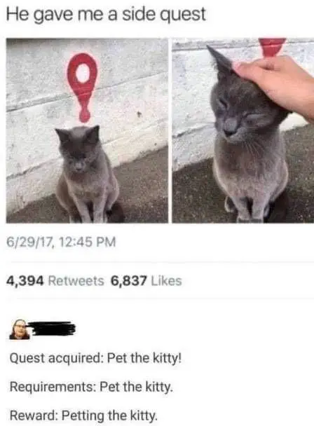 31 Absolutely Funny Animal Memes&Nbsp;