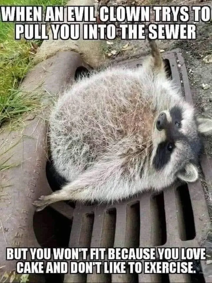 31 Absolutely Funny Animal Memes&Nbsp;
