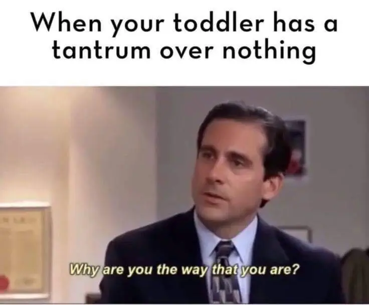 32 Silly Memes For Parents To Laugh At