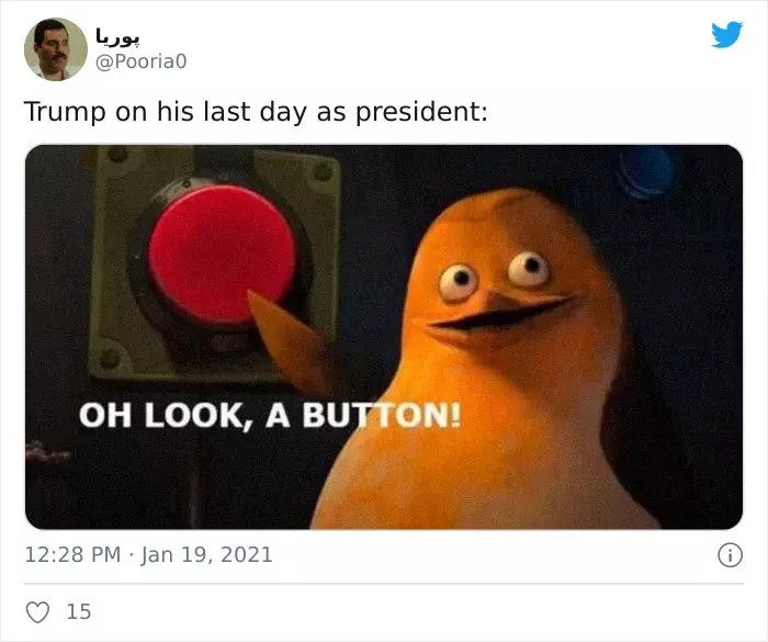 31 Absurd Trump Memes That Are Still Extremely Funny