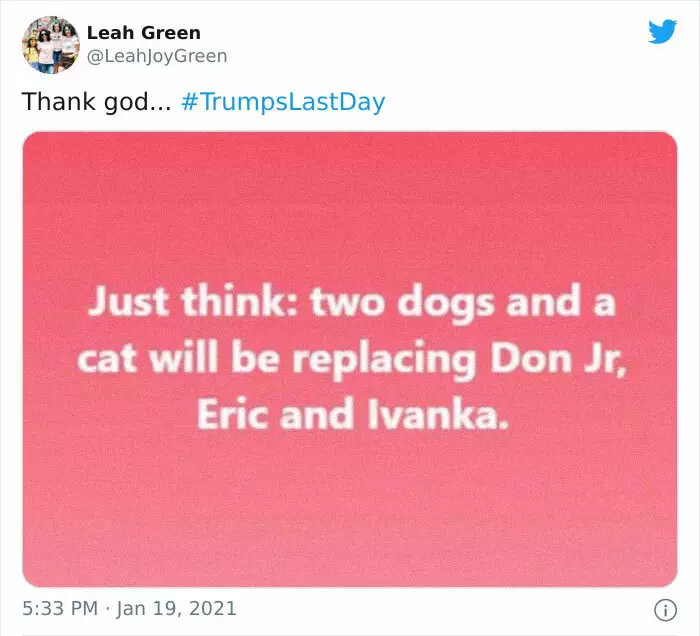 31 Absurd Trump Memes That Are Still Extremely Funny