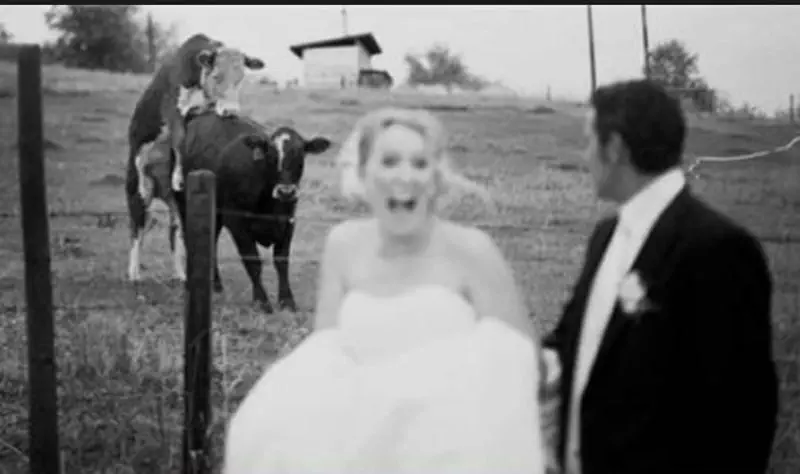 31 Epic Wedding Day Fails That Are Almost Sad To See