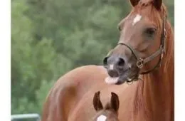 30 Painful Relatable Memes For All The Retail Workers Out There