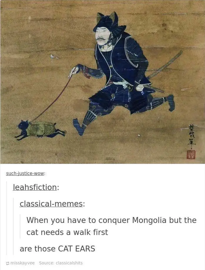 30 Awesome Cat Memes To Look At