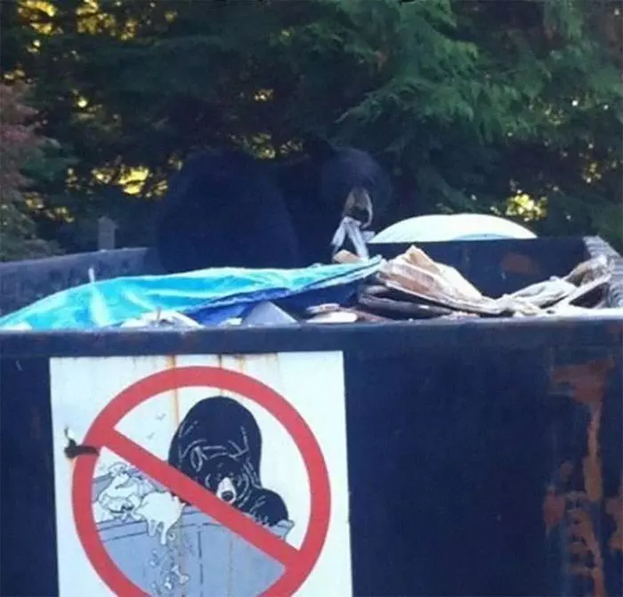 30 Outrageousness And Rebels Who Want To See The World Burn