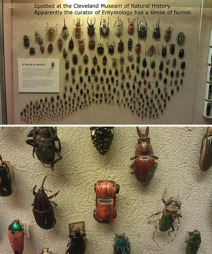 32 Super Funny Pictures People Took At Museums&Nbsp;