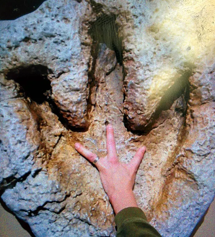 32 Super Funny Pictures People Took At Museums&Nbsp;