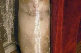 30 Extreme Examples Of Why Cats Are Ninjas