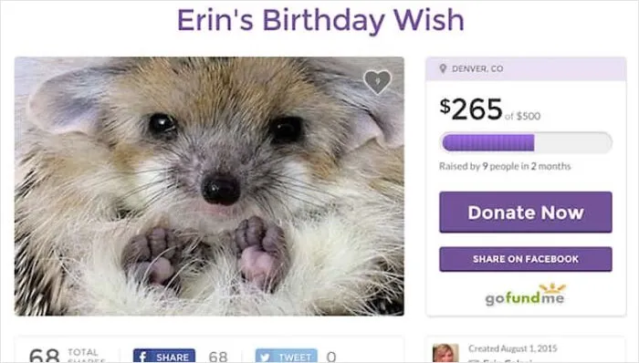 30 Shameless Go Fund Me Accounts That Will Blow Your Mind
