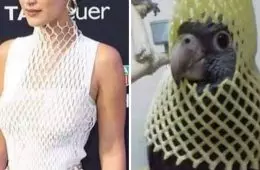 30 Hideous Dresses That Should Have Never Been Made