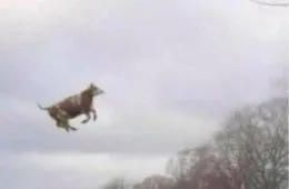 30 Hilarious Times People Missed The Joke And Embarrassed Themselves