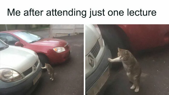 30 Painstakingly Relatable And Funny College Memes