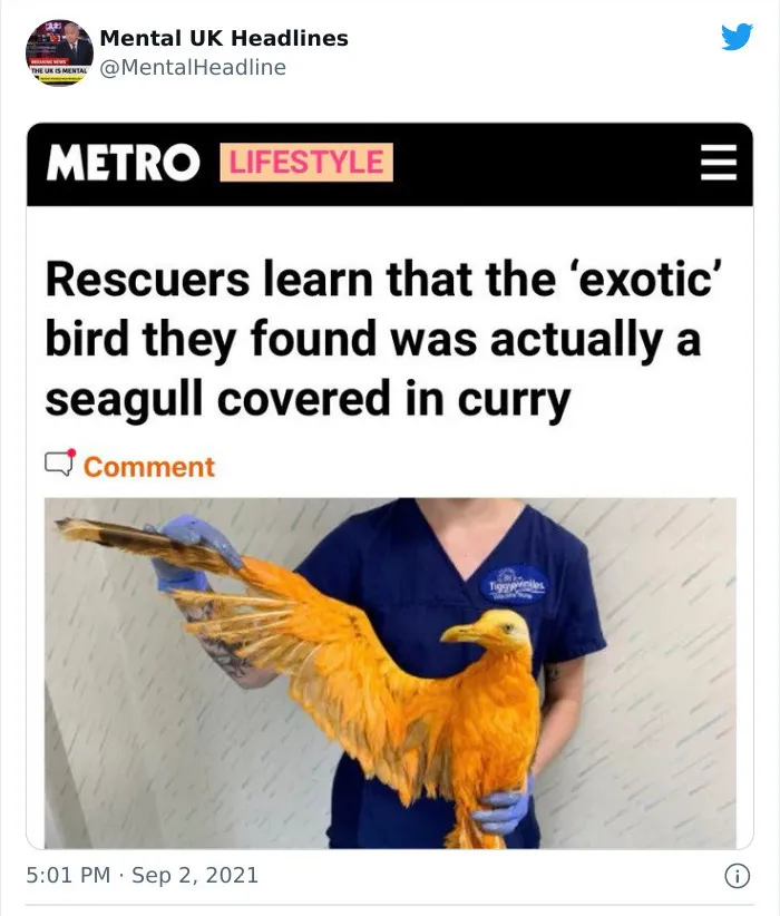 30 Terrific ‘Mental Uk Headlines’ That Are 100% British