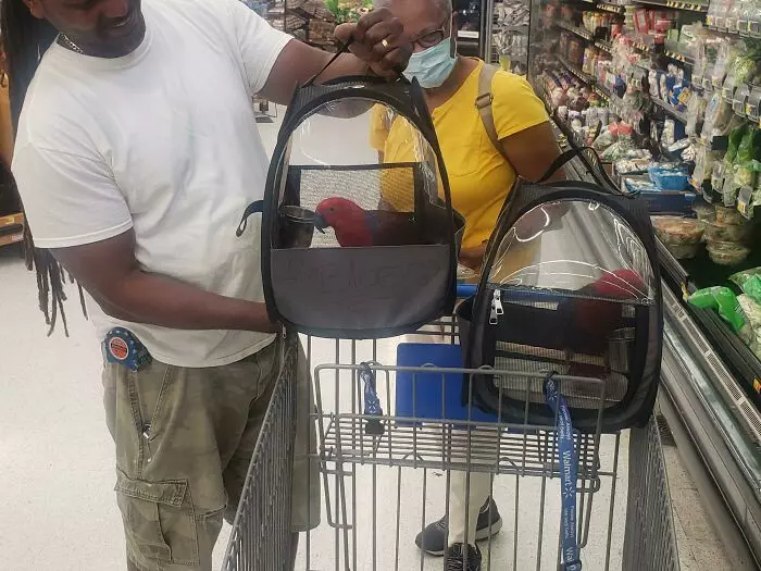 30 Insane Walmart Images Caught On Camera