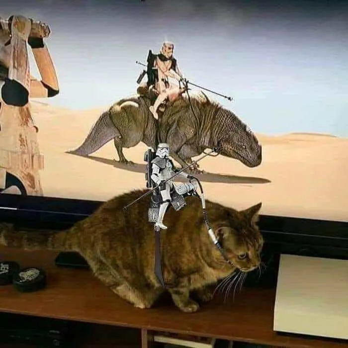 30 Spectacularly Weird Pictures That Will Definitely Confuse You