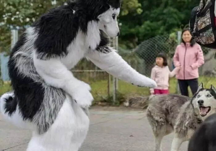 30 Spectacularly Weird Pictures That Will Definitely Confuse You