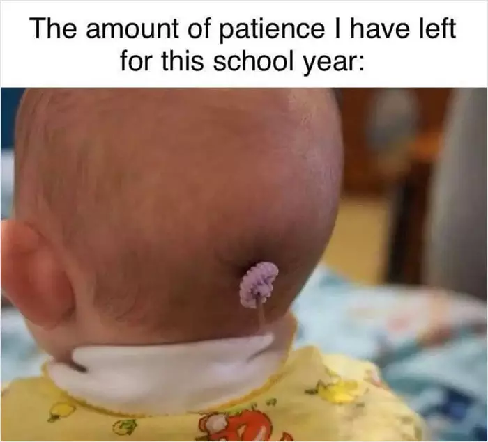 30 Funny Preschool Memes And Banter For Parents To Laugh At