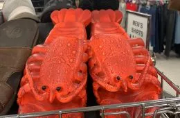 30 Of The Worst Fashion Fails You'Ve Ever Seen And They’re Hilarious