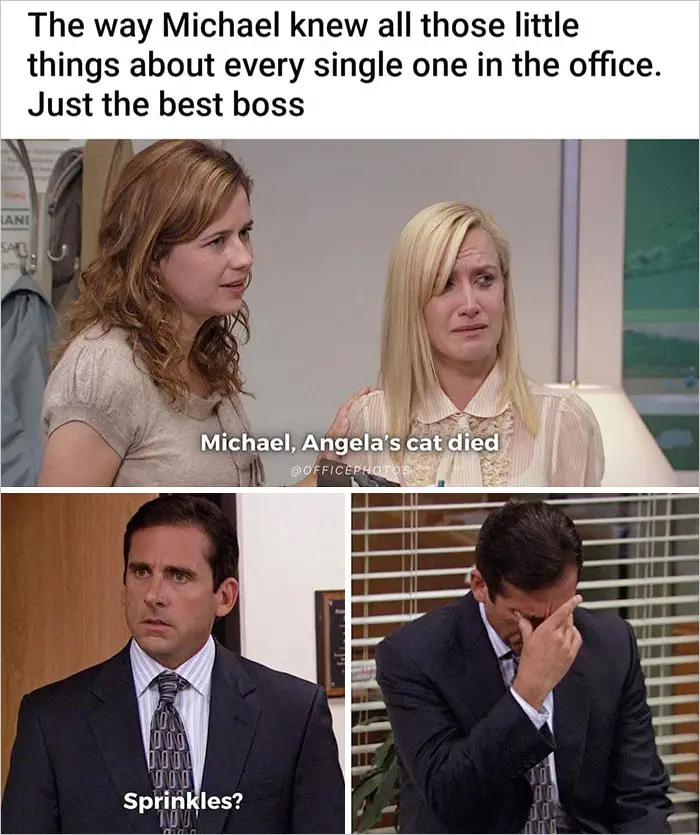 30 Hysterical &Quot;The Office&Quot; Memes That Will Definitely Crack You Up