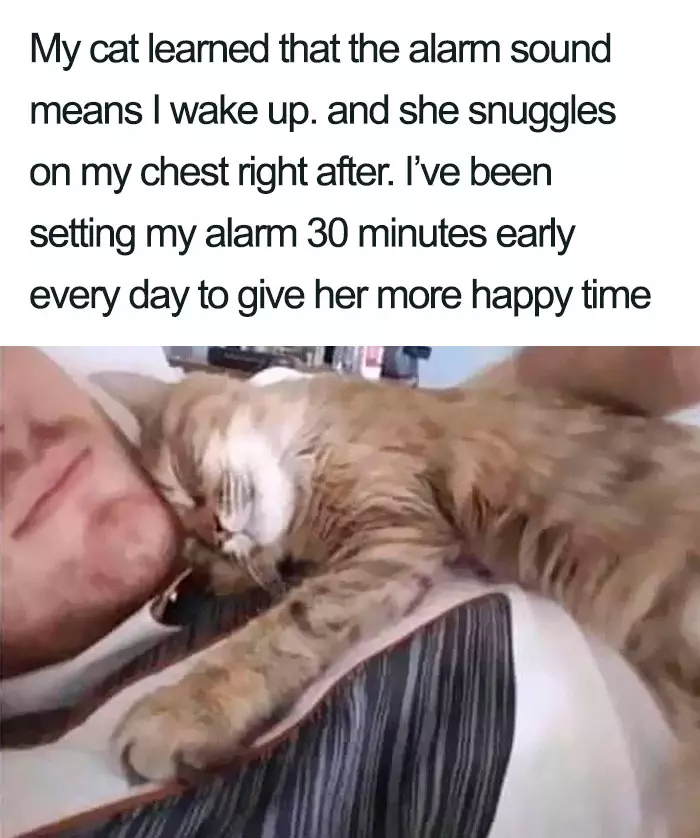 50 Wholesome Memes That Remind Us The World Isn’t All Bad