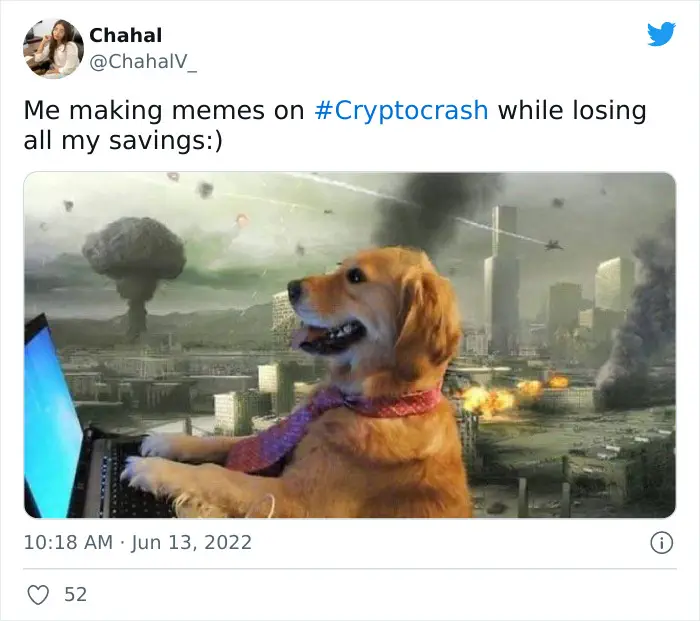 30 Hilarious Memes Regarding The Awful Cryptocurrency Crash