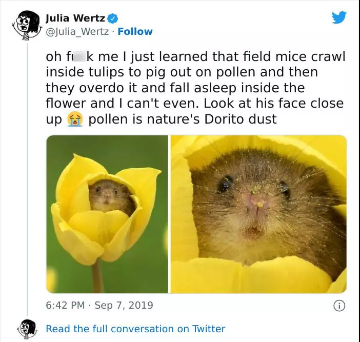 30 Extremely Wholesome Animal Memes That Are So Cute !