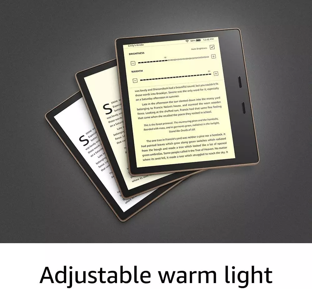 The 8Gb Kindle Oasis Is Simply Magnificent